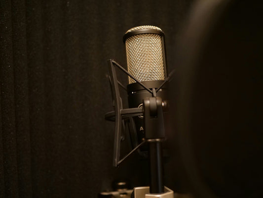 Microphone on stand