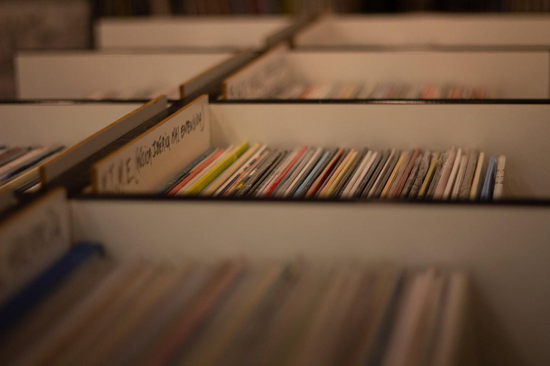 Close-up view of vinyl records organized in white storage boxes, with colorful record spines in focus and a blurred background creating a warm, nostalgic atmosphere.
